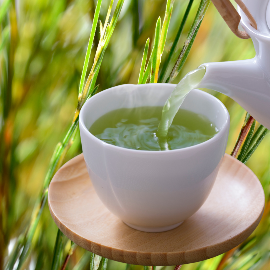 Green Rooibos Value Pack 40ct | Organic