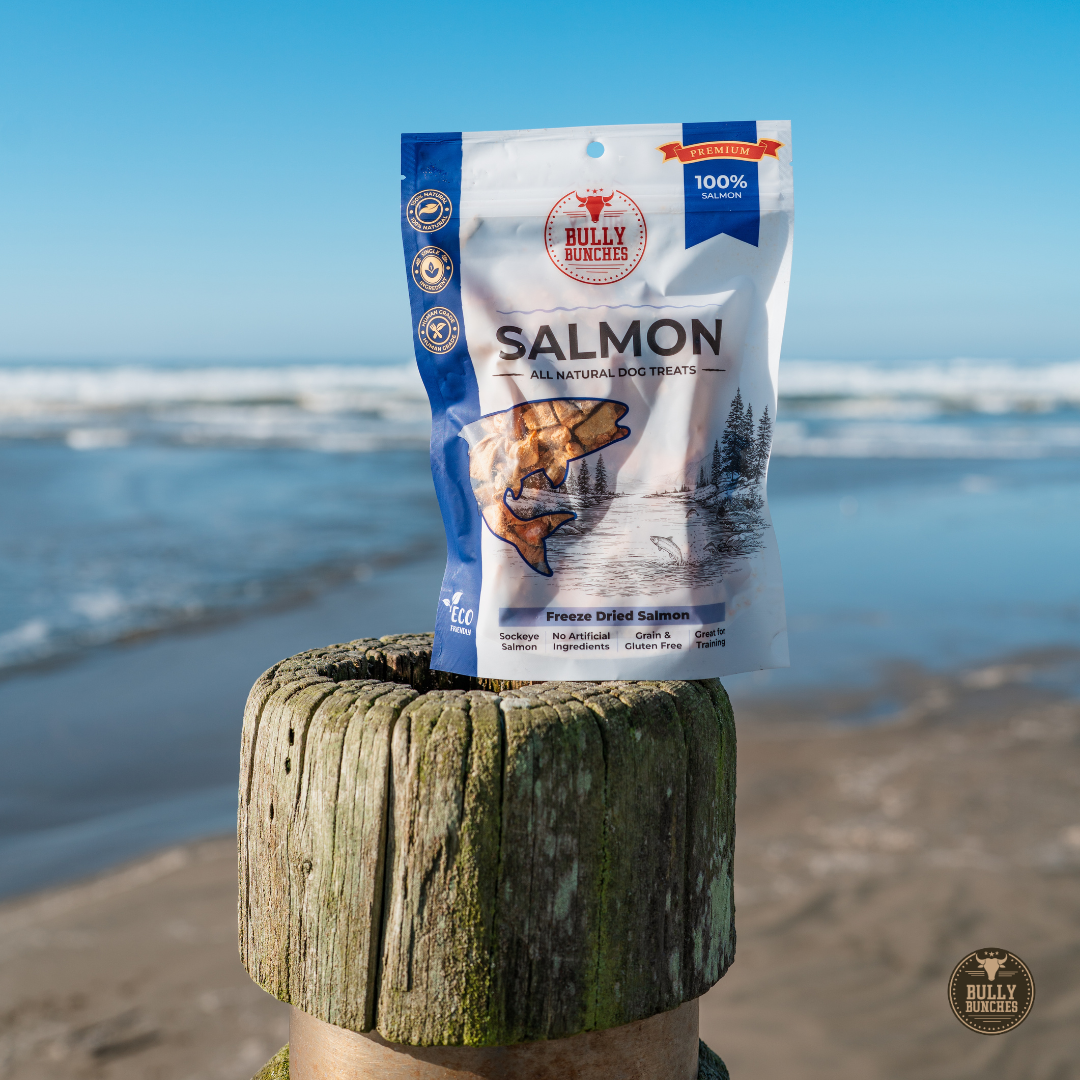 Freeze Dried Salmon 100g / 3.5oz