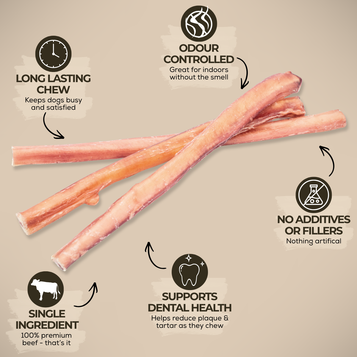 12 Inch Standard Bully Stick