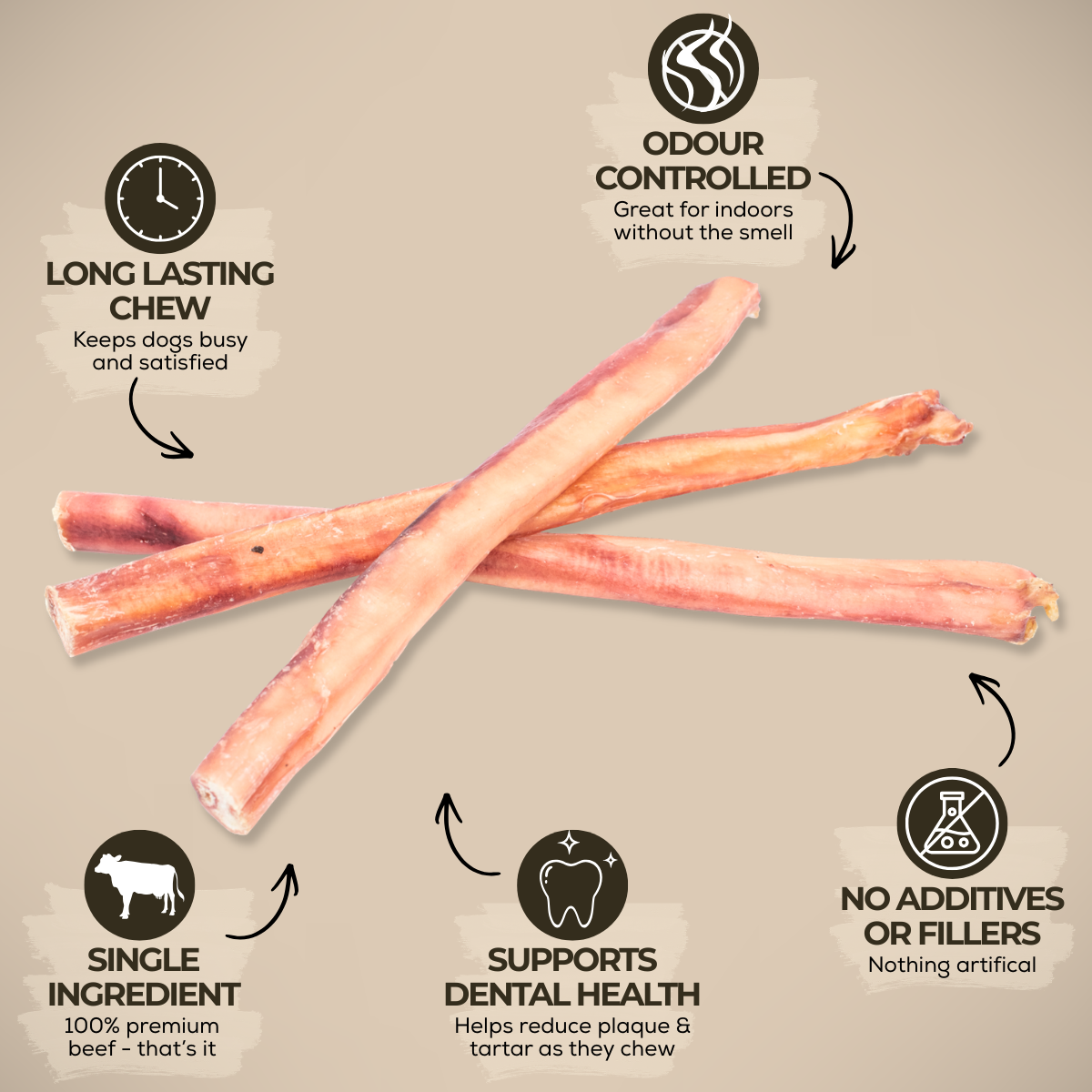 12 Inch Thick Bully Stick