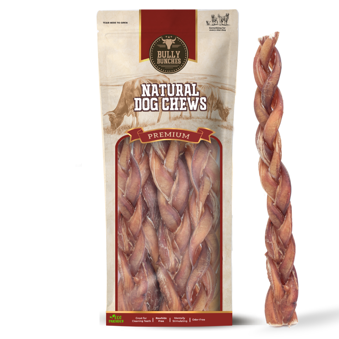 12 Inch Standard Braided Bully Stick