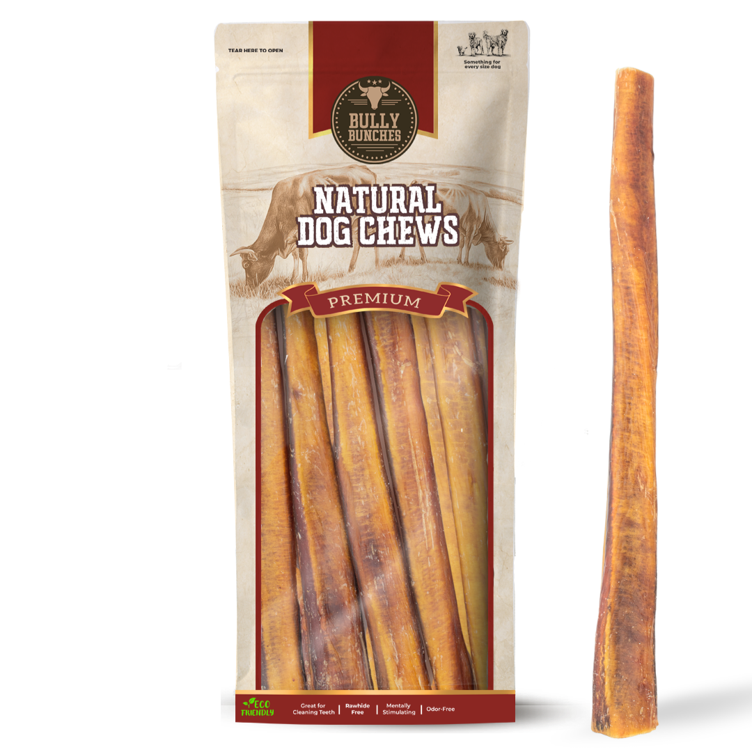 12 Inch Jumbo Bully Stick
