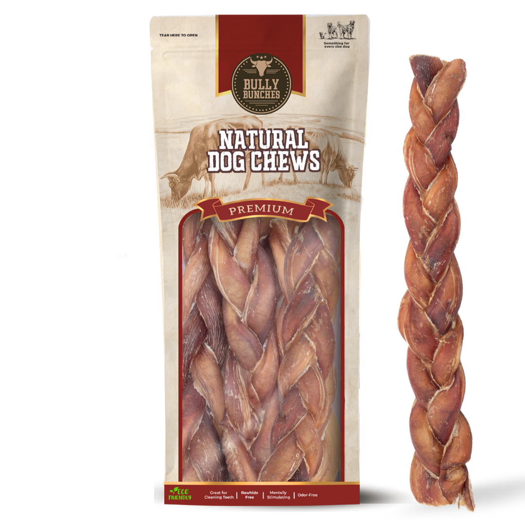 12 Inch Jumbo Braided Bully Stick