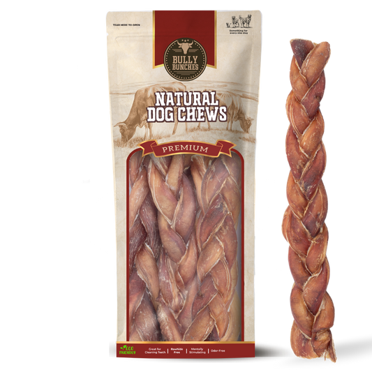 12 Inch Jumbo Braided Bully Stick