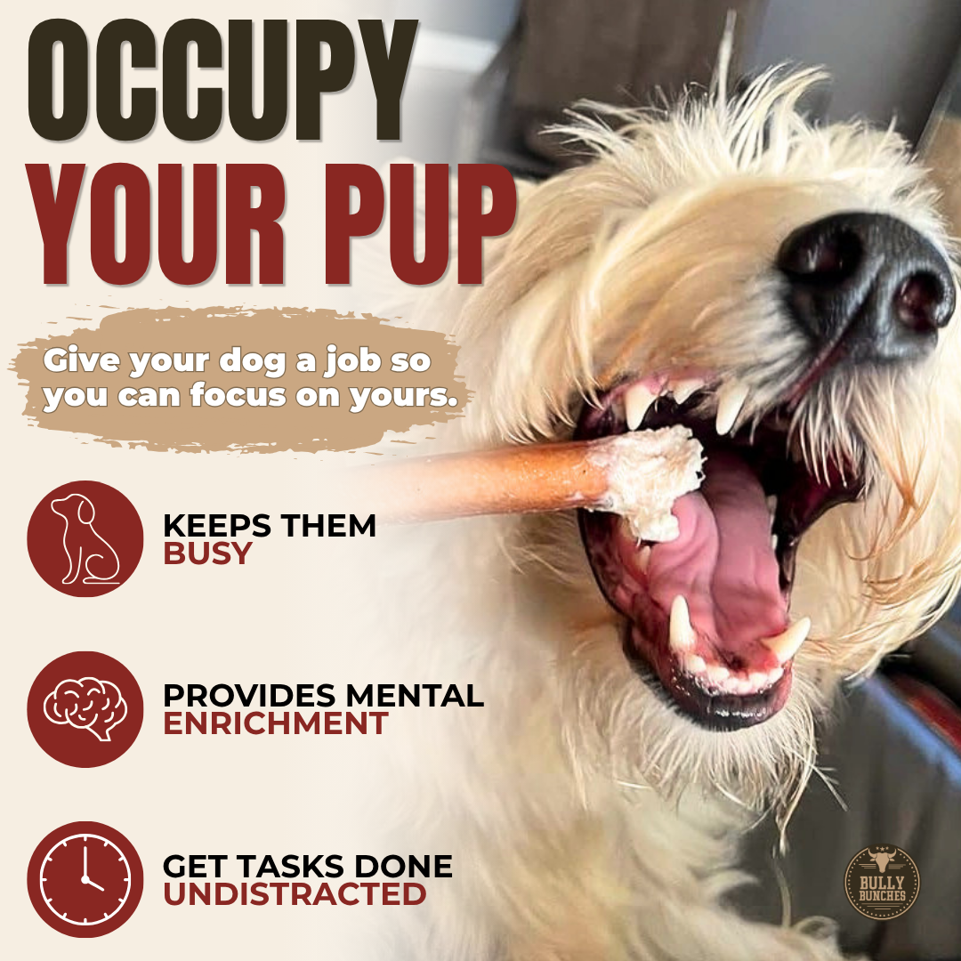 6 Inch Standard Bully Stick