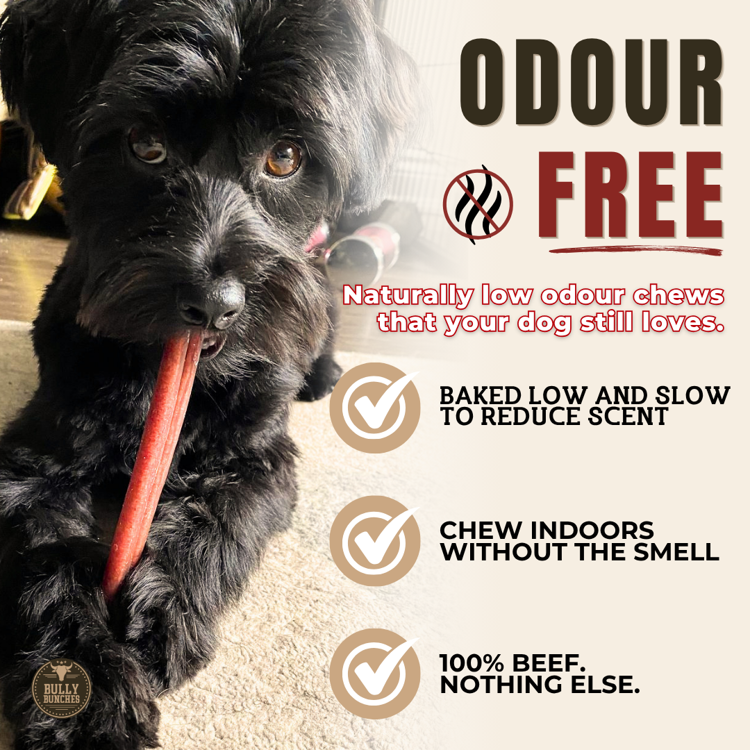 6 Inch Standard Bully Stick
