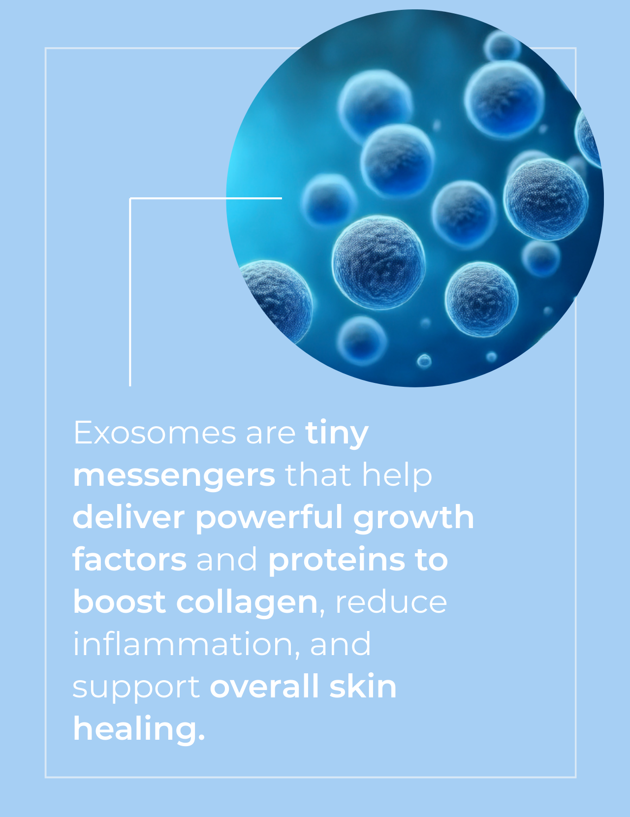 Exosome Skin Repair Serum