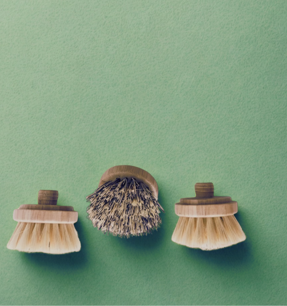 Long Handle Bamboo Scrub Brush Refill | Sustainable Replacement