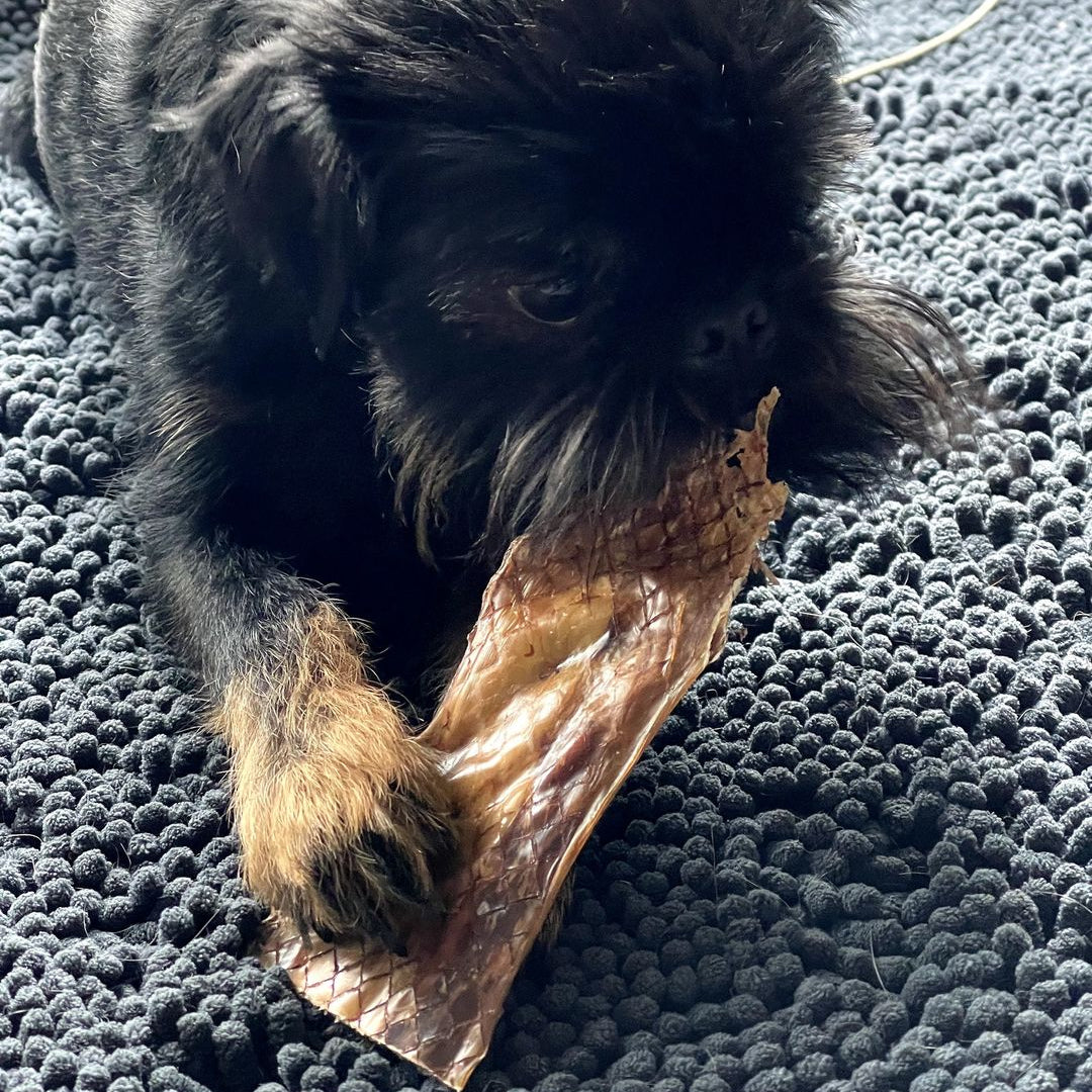 6 Inch Beef Jerky Strip