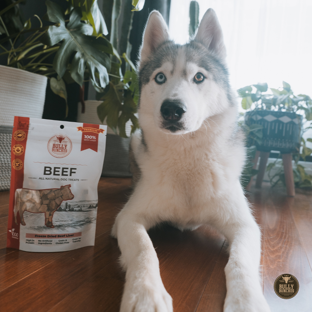 Freeze Dried Beef Liver 100g / 3.5oz