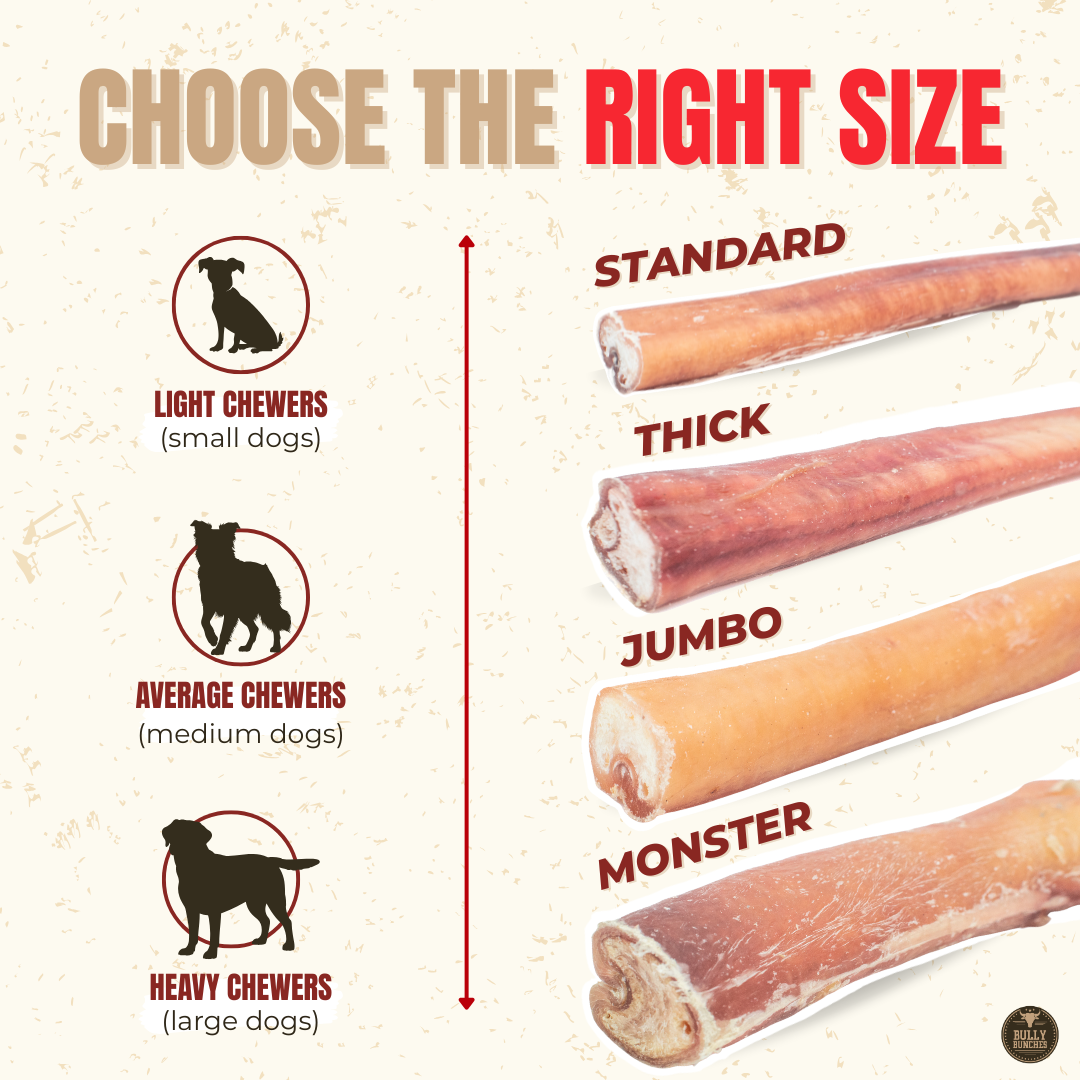 6 Inch Jumbo Bully Stick
