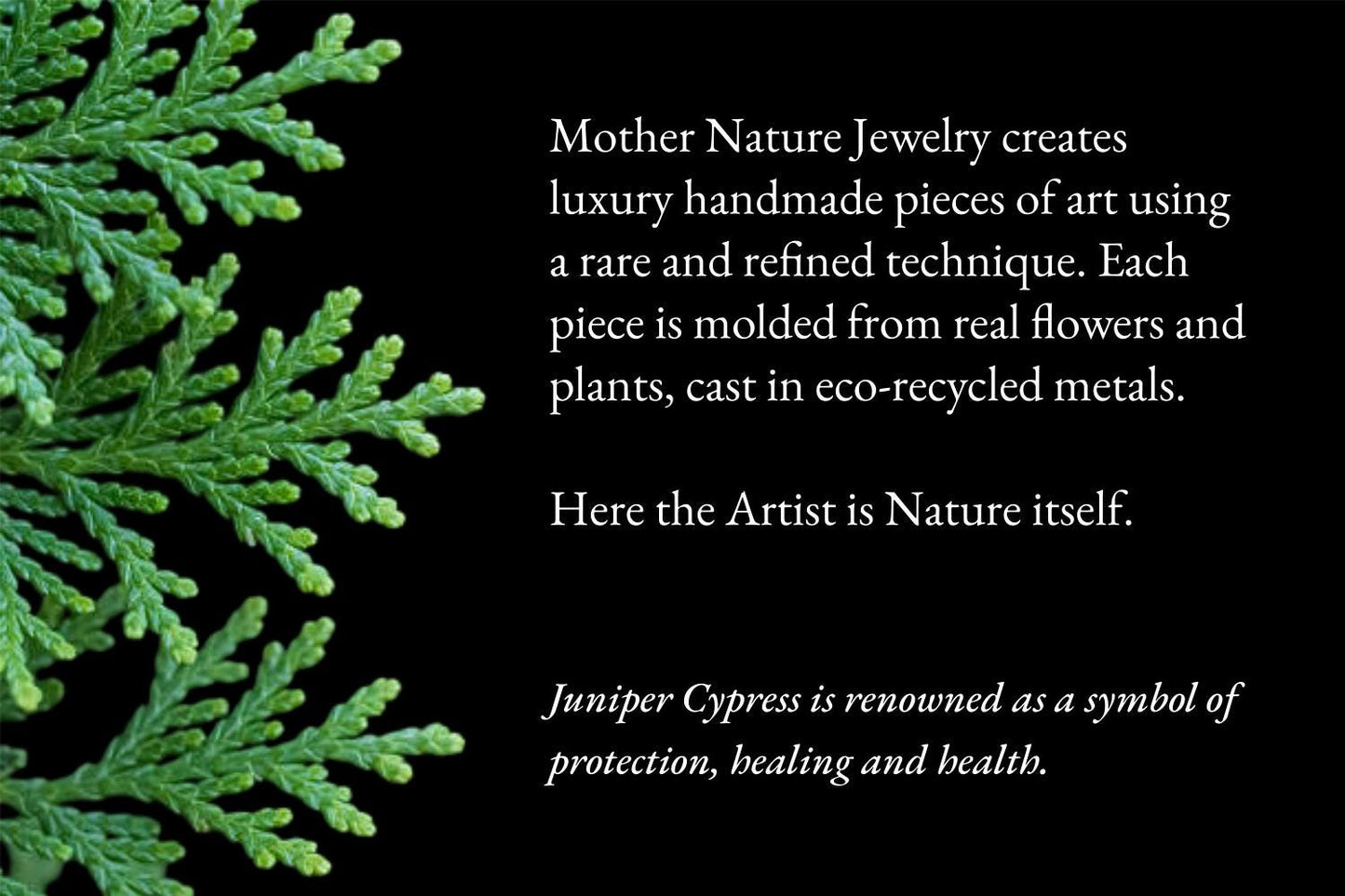Gold Juniper Earrings, Handmade Nature Jewelry, Botanical Dangles, Symbolizes Health & Resilience, Eco Sustainable Sterling Silver 925