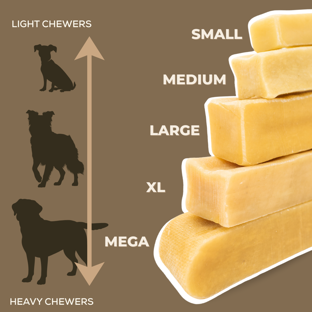 Blueberry Himalayan Yak Chew (MEDIUM)
