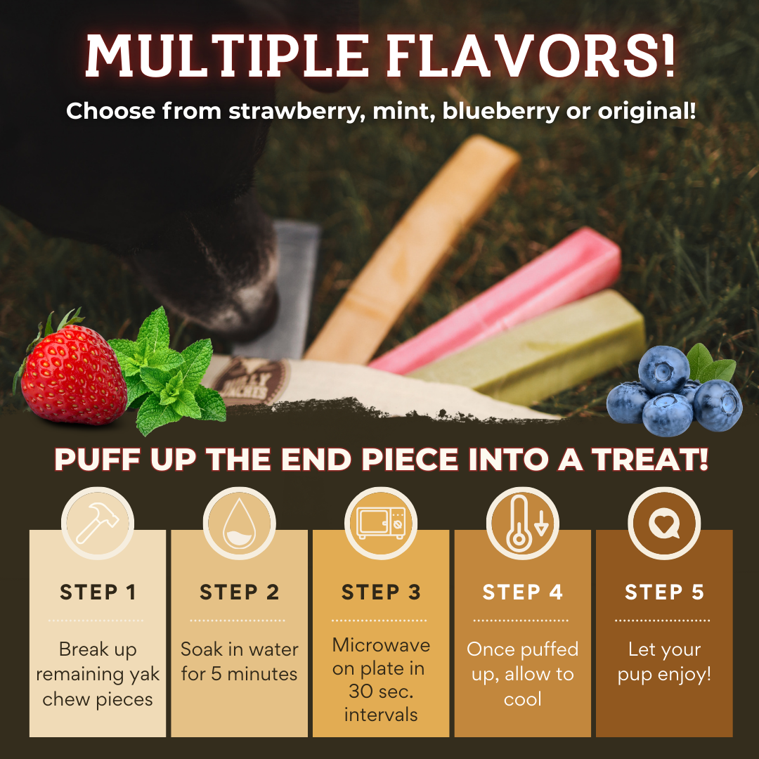 Blueberry Himalayan Yak Chew (MEDIUM)