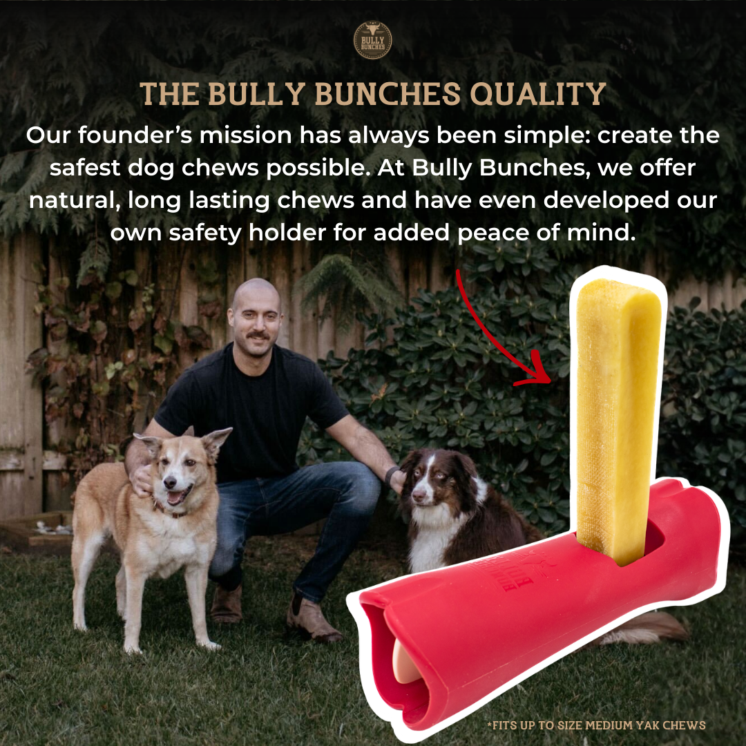 Blueberry Himalayan Yak Chew (MEDIUM)